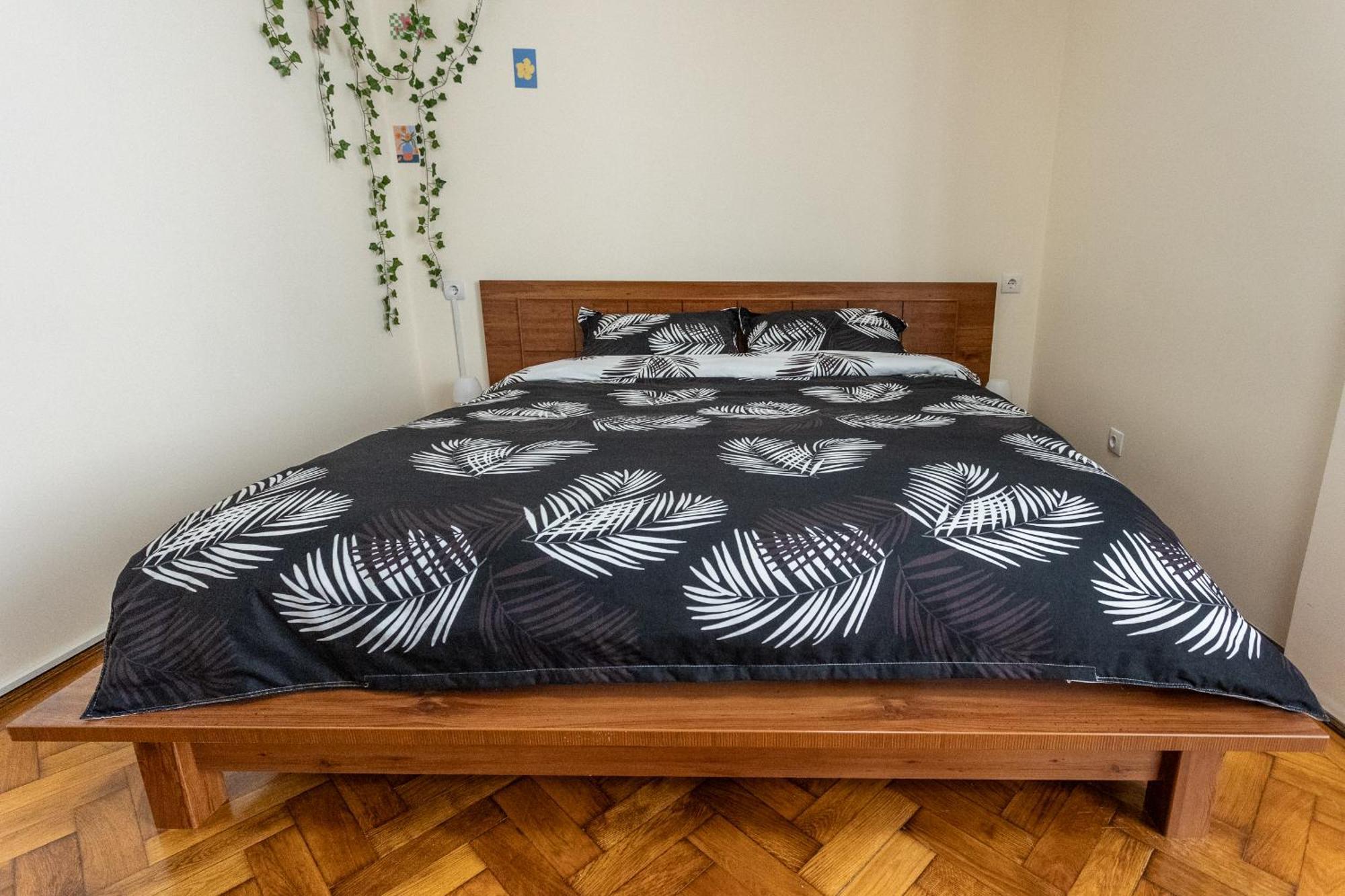 Supreme Deer Apartment Brasov Ngoại thất bức ảnh